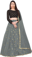 PATBRO Embroidered Semi Stitched Lehenga Choli