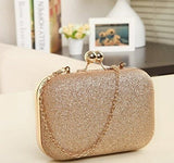 Jashiya Fashionable Modern Women Clutches